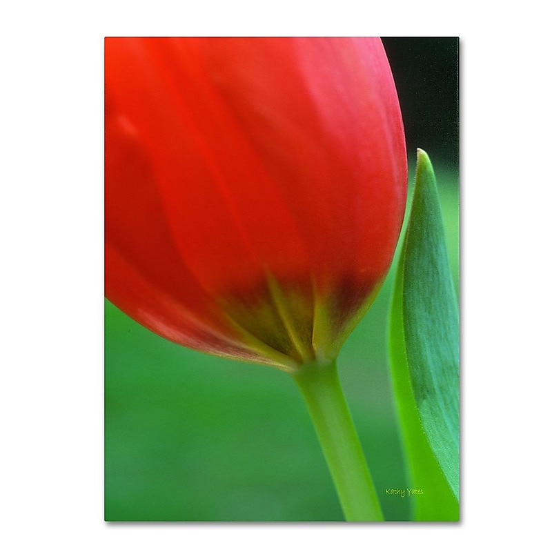 Trademark Fine Art 'Pure' 22" x 32" Canvas Art image 1