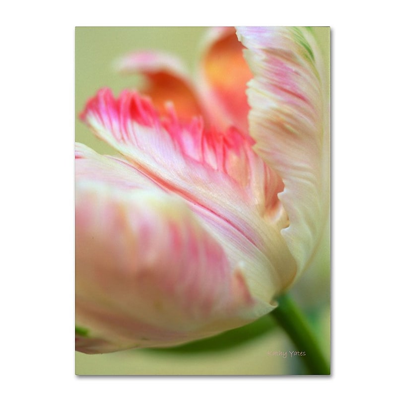 Trademark Fine Art 'Tender' 16" x 24" Canvas Art image 1
