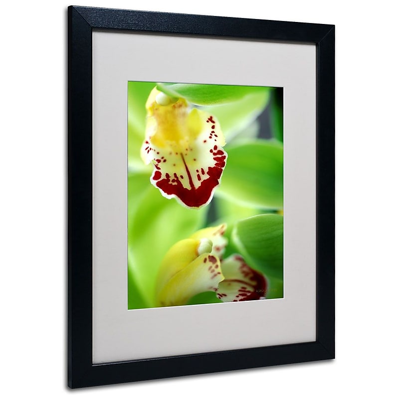 Trademark Fine Art 'Cymbidium Seafoam Emerald Orchid' 16" x 20" Black Frame Art image 1