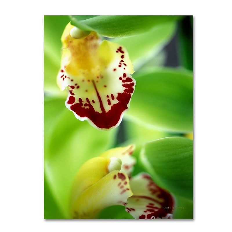 Trademark Fine Art 'Cymbidium Seafoam Emerald Orchid' 30" x 47" Canvas Art image 1