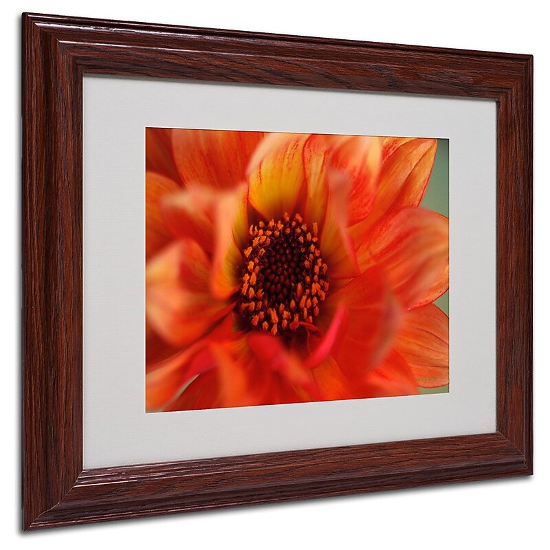 Trademark Fine Art 'Fiery Dahlia' 11" x 14" Wood Frame Art image 1