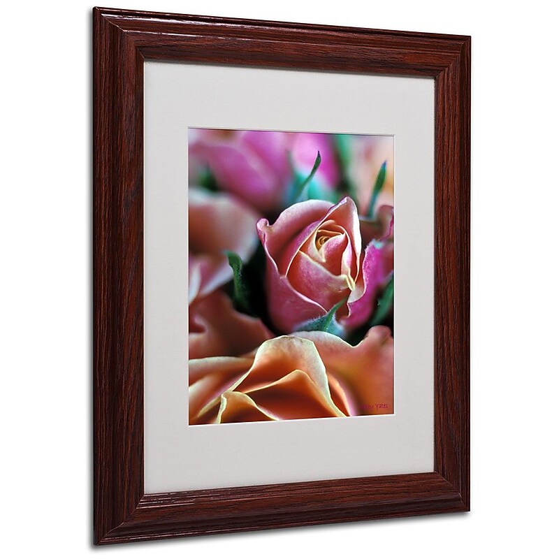 Trademark Fine Art 'Mauve and Peach Roses' 11" x 14" Wood Frame Art image 1