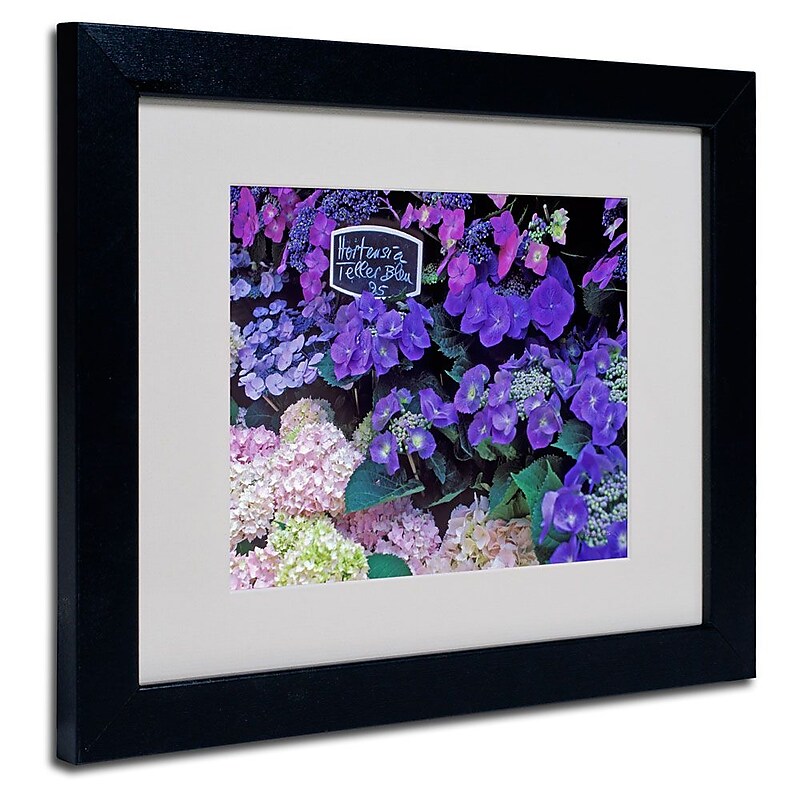 Trademark Fine Art 'Paris Flower Market Hydrangeas' 11" x 14" Black Frame Art image 1