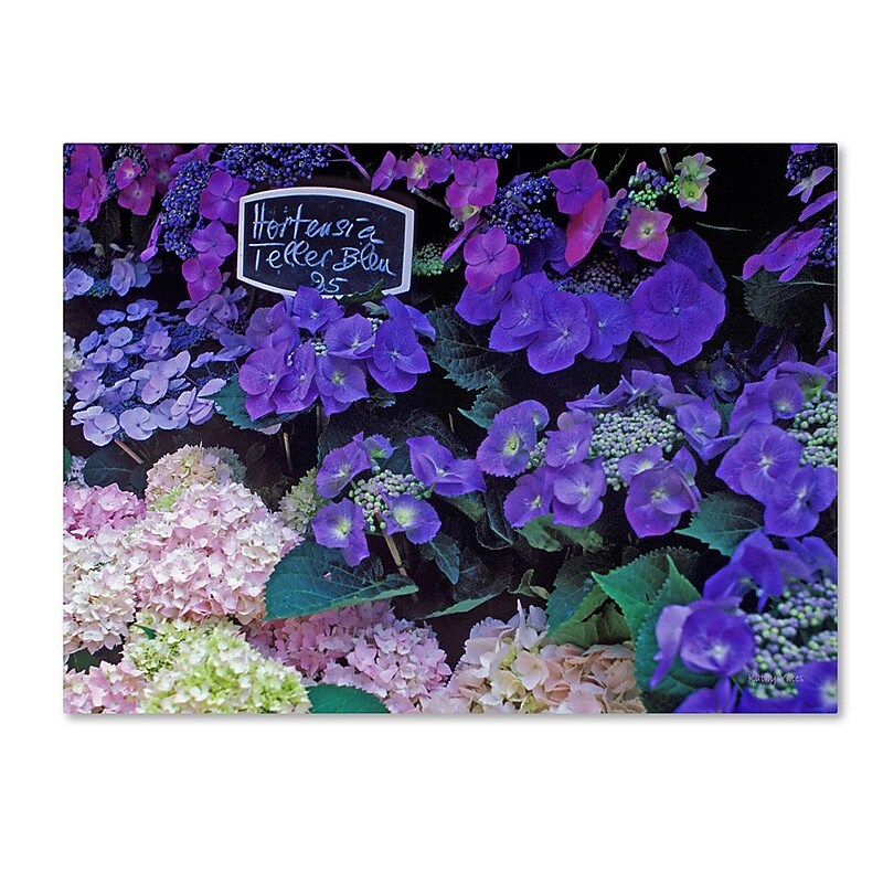 Trademark Fine Art 'Paris Flower Market Hydrangeas' 35" x 47" Canvas Art image 1
