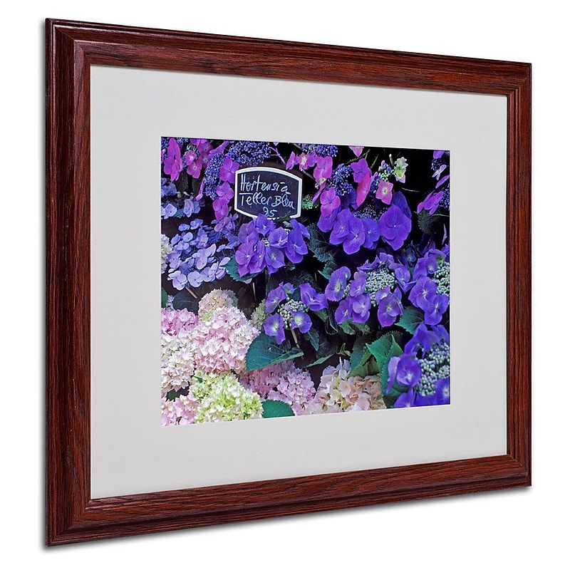 Trademark Fine Art 'Paris Flower Market Hydrangeas' 16" x 20" Wood Frame Art image 1