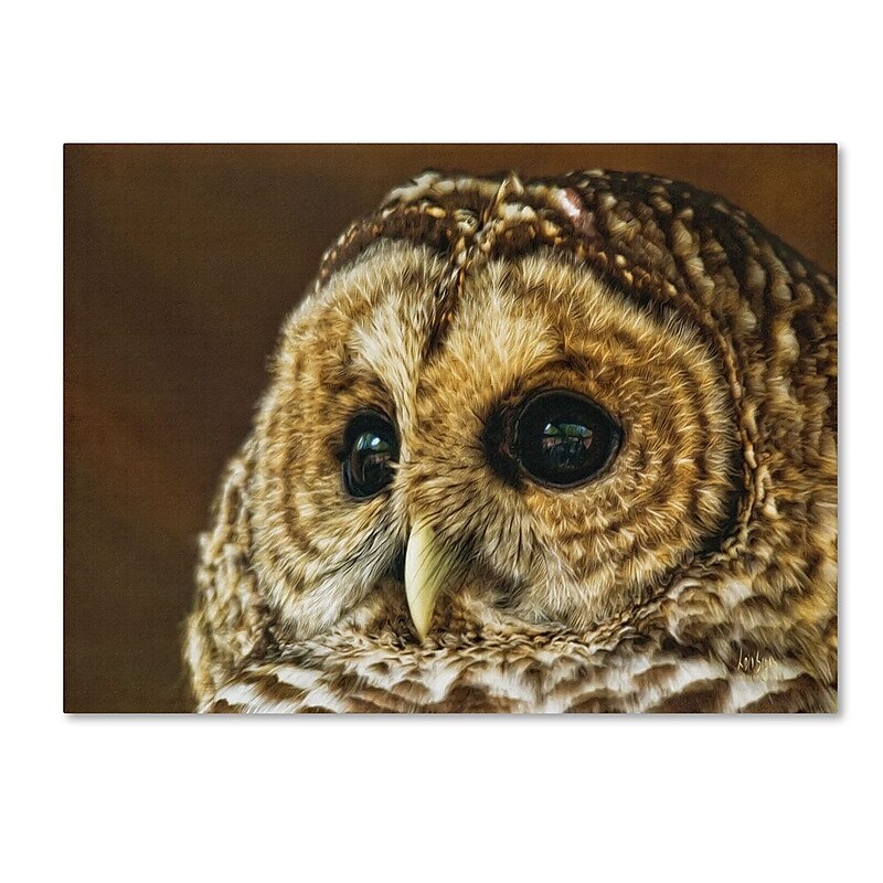 Trademark Fine Art 'Barred Owl Portrait' 14" x 19" Canvas Art image 1