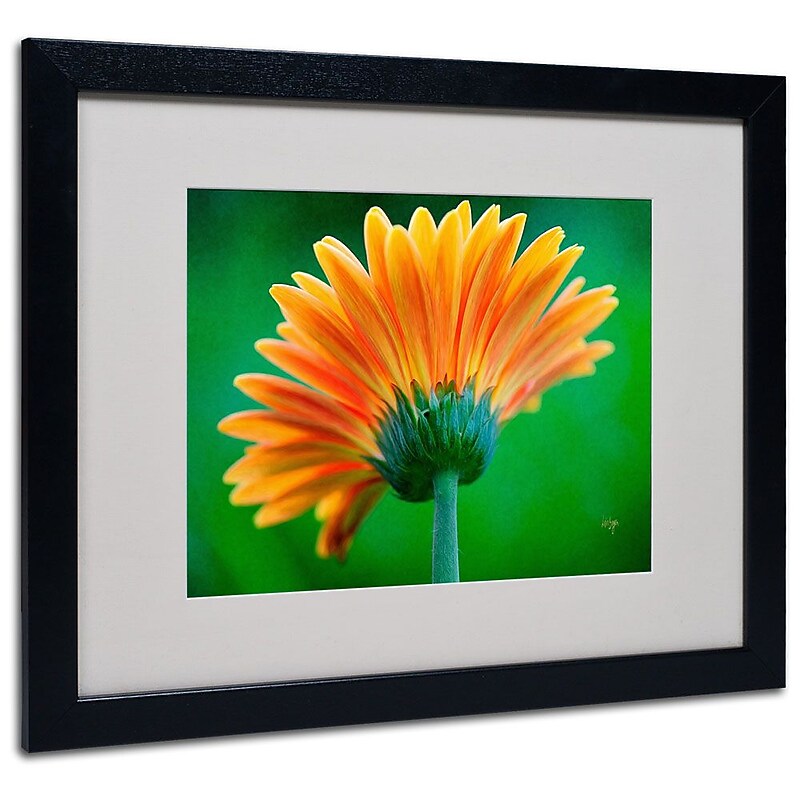 Trademark Fine Art 'Orange Burst' 16" x 20" Black Frame Art image 1