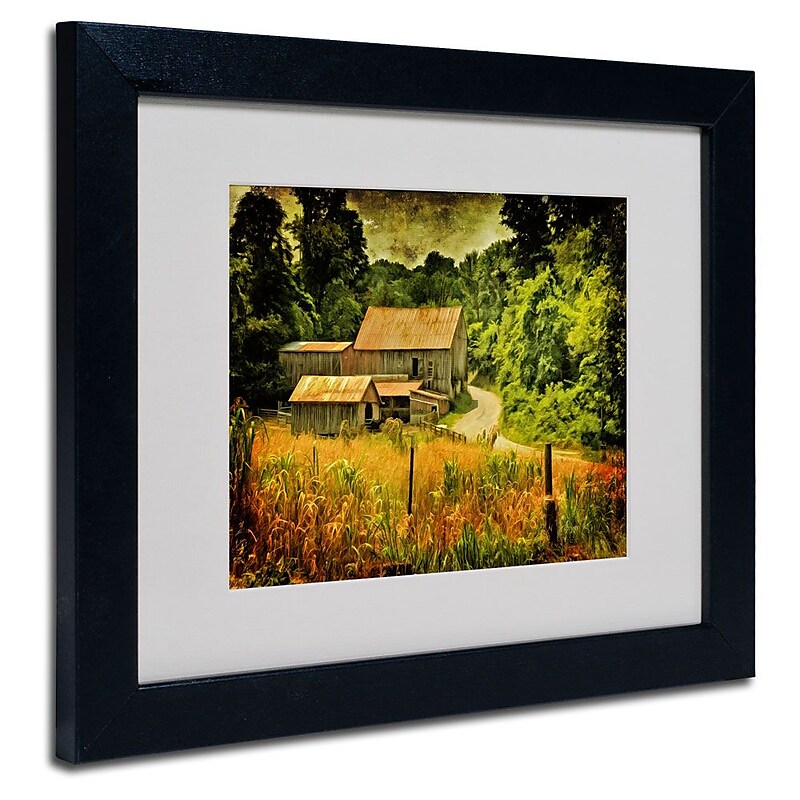 Trademark Fine Art 'Country Road In Summer' 11" x 14" Black Frame Art image 1