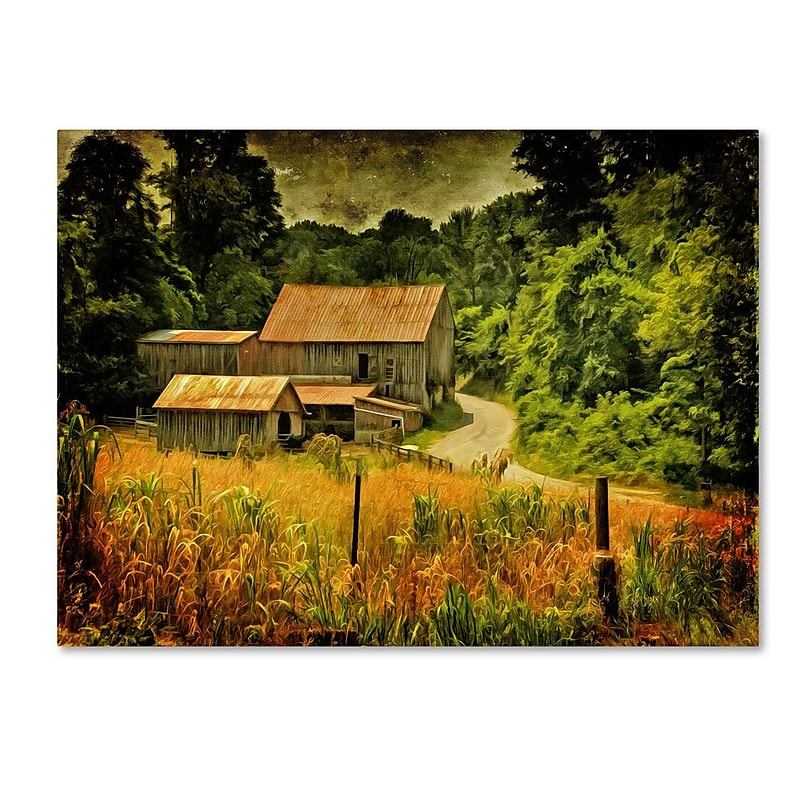Trademark Fine Art 'Country Road In Summer' 16" x 24" Canvas Art image 1