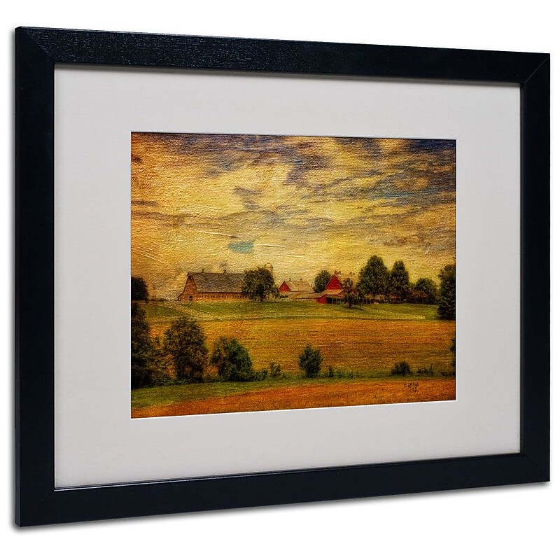 Trademark Fine Art 'Summer Farm' 16" x 20" Black Frame Art image 1