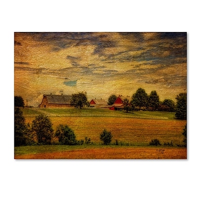 Trademark Fine Art 'Summer Farm' 14" x 19" Canvas Art