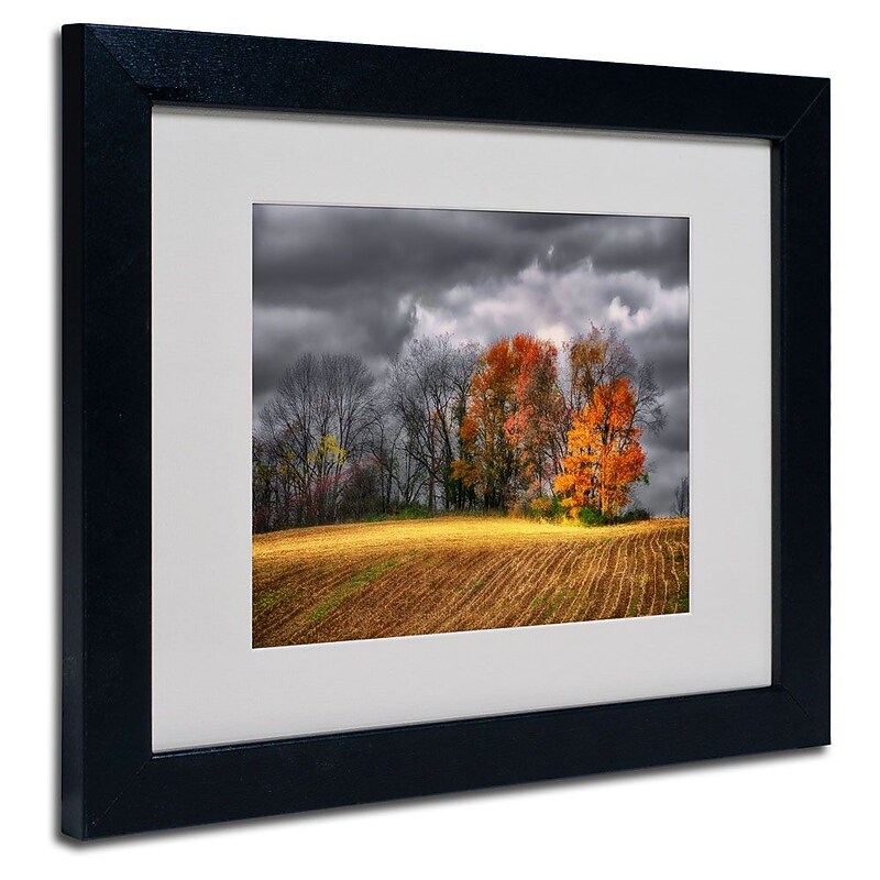 Trademark Fine Art 'Autumn Field' 11" x 14" Black Frame Art image 1