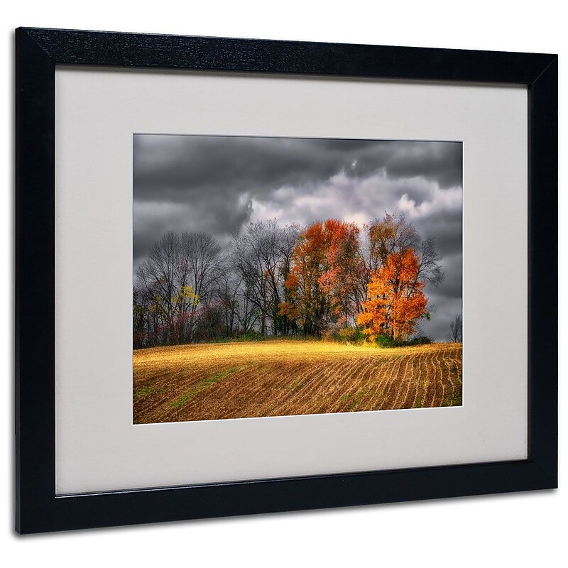 Trademark Fine Art 'Autumn Field' 16" x 20" Black Frame Art image 1