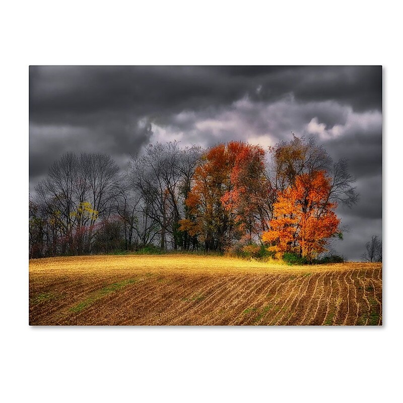 Trademark Fine Art 'Autumn Field' 22" x 32" Canvas Art image 1