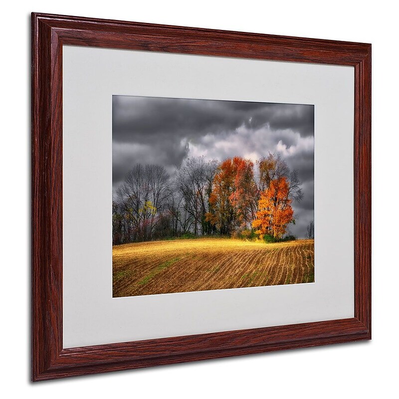Trademark Fine Art 'Autumn Field' 16" x 20" Wood Frame Art image 1