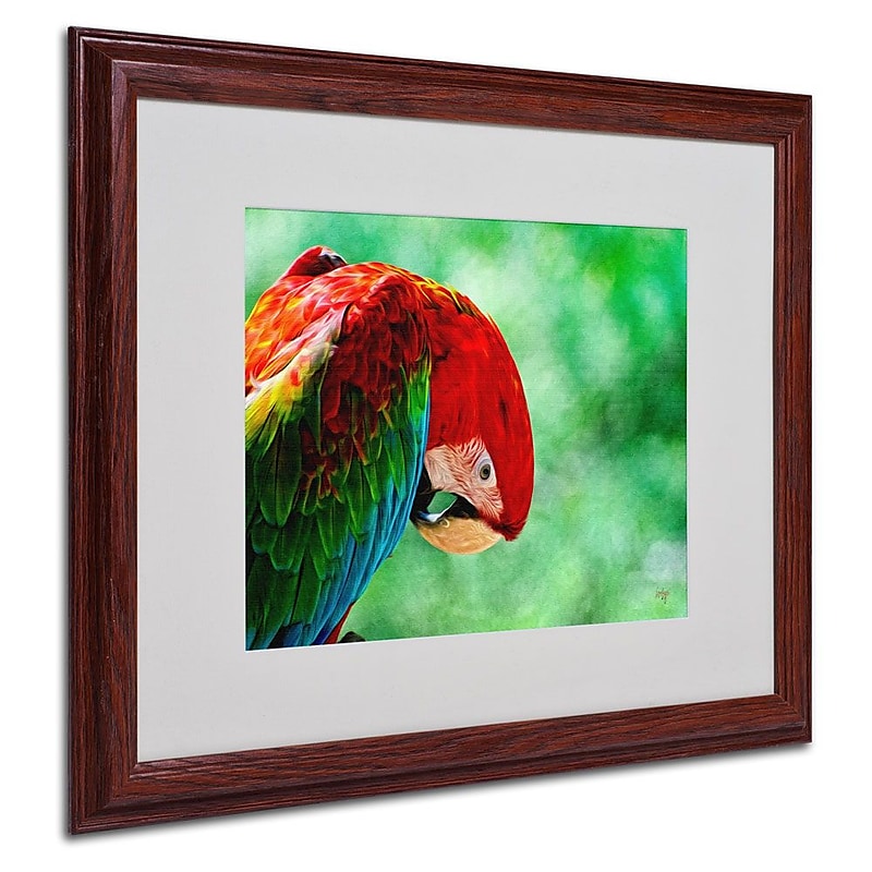 Trademark Fine Art 'Colorful Macaw' 16" x 20" Wood Frame Art image 1
