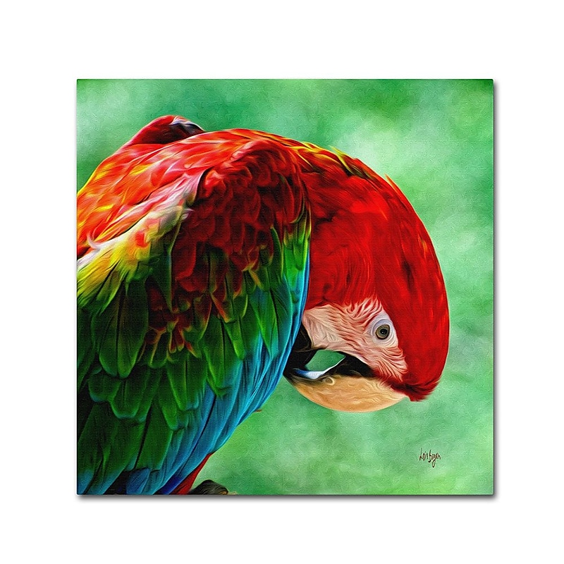 Trademark Fine Art 'Colorful Macaw Square Format' 24" x 24" Canvas Art image 1