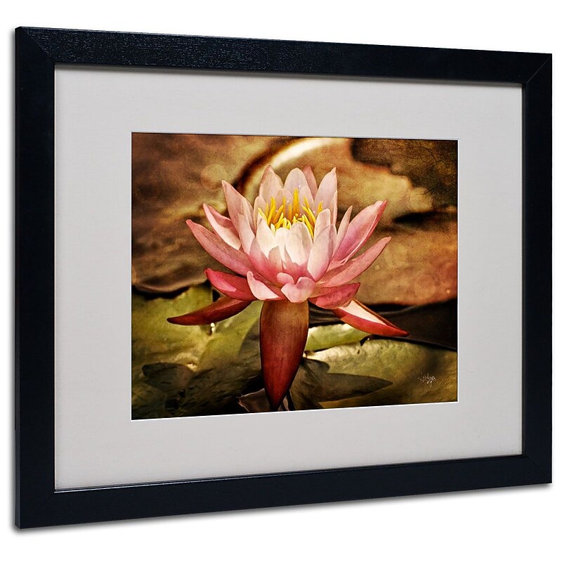 Trademark Fine Art 'Magic Lily' 16" x 20" Black Frame Art image 1