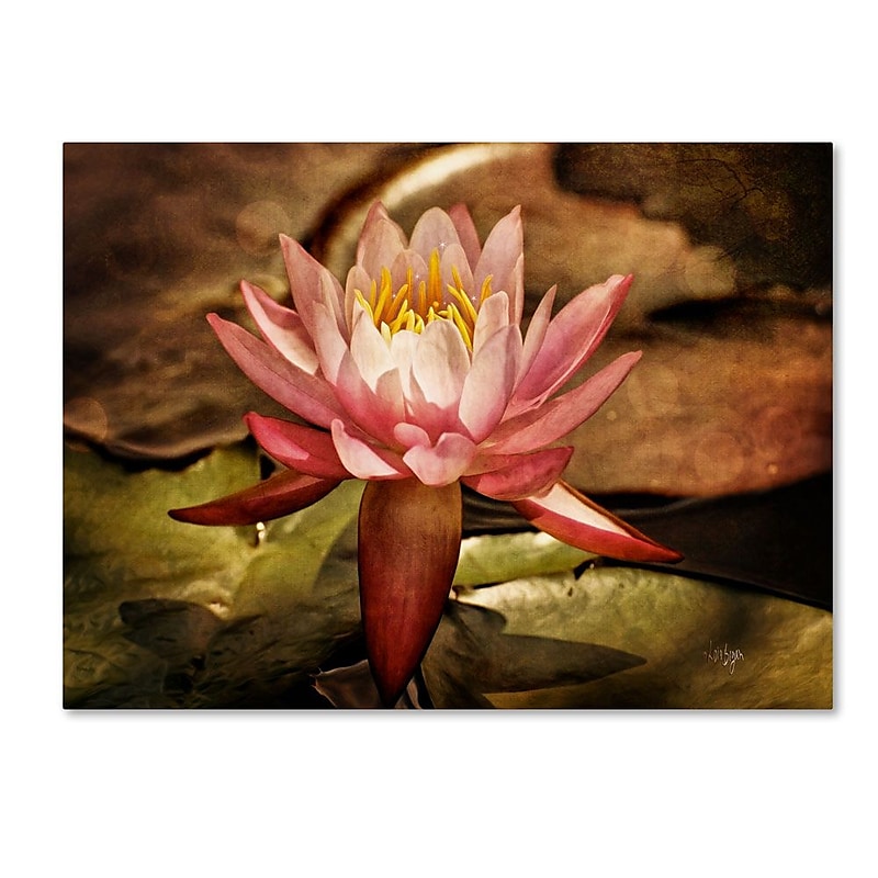 Trademark Fine Art 'Magic Lily' 16" x 24" Canvas Art image 1
