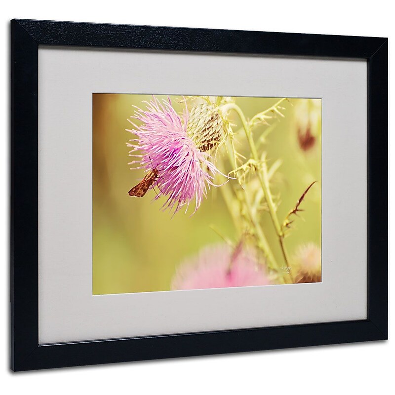 Trademark Fine Art 'Skipper On Pink Thistle' 16" x 20" Black Frame Art image 1