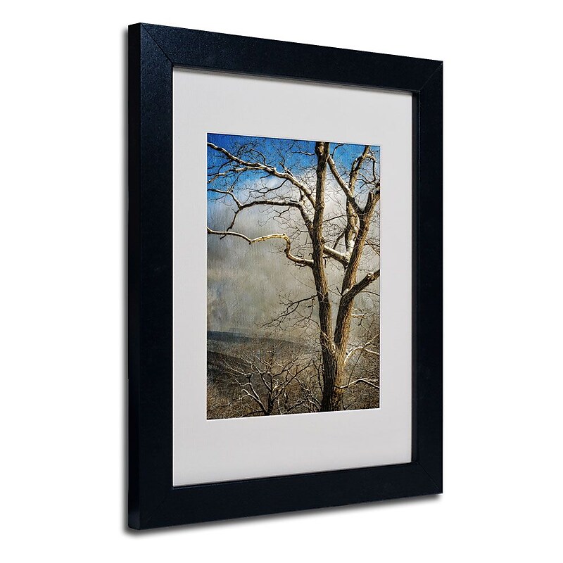 Trademark Fine Art 'Tree In Winter' 11" x 14" Black Frame Art image 1