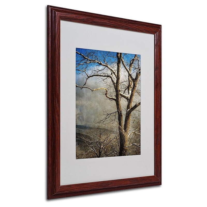 Trademark Fine Art 'Tree In Winter' 16" x 20" Wood Frame Art image 1