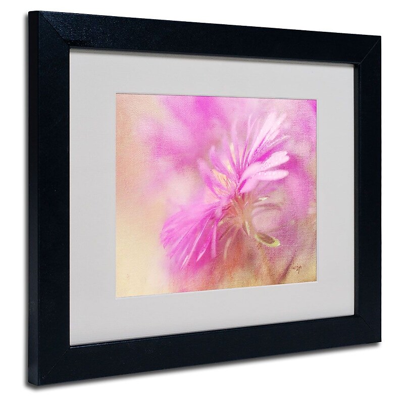 Trademark Fine Art 'Dewy Pink Aster' 11" x 14" Black Frame Art image 1