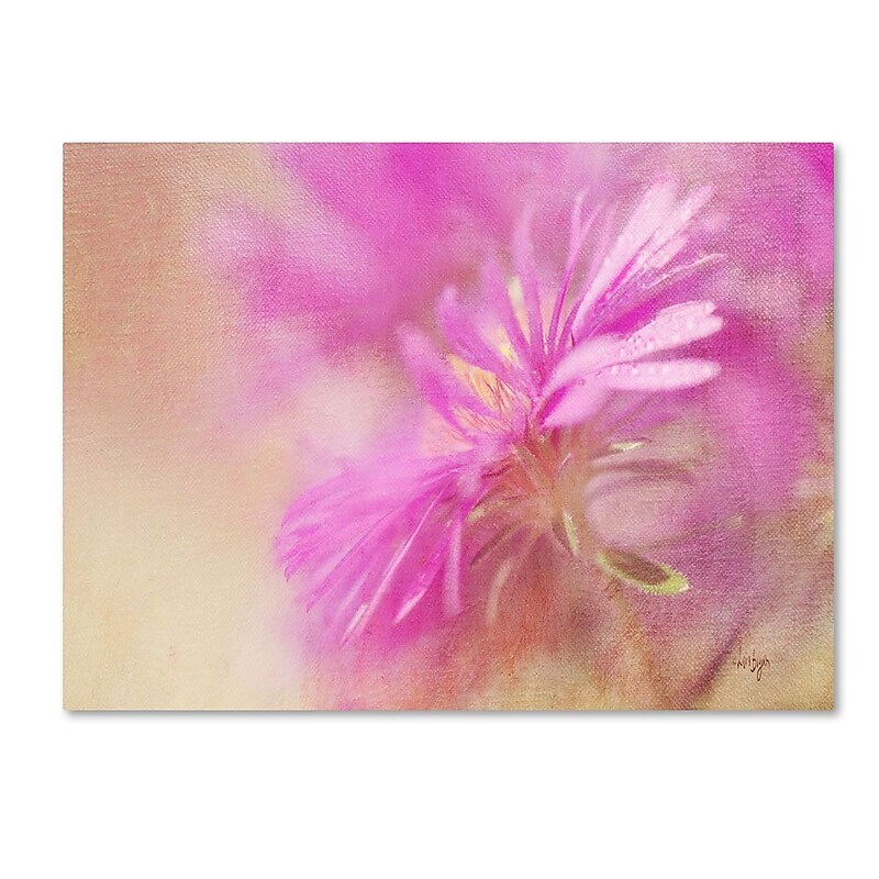 Trademark Fine Art 'Dewy Pink Aster' 30" x 47" Canvas Art image 1