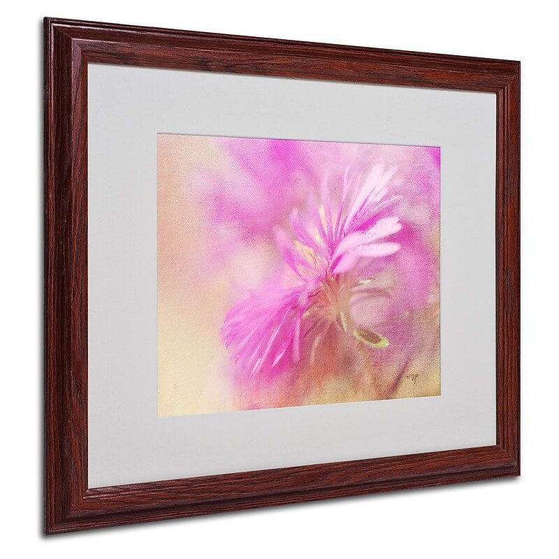 Trademark Fine Art 'Dewy Pink Aster' 16" x 20" Wood Frame Art image 1