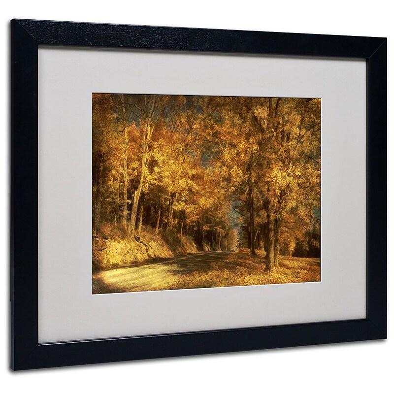 Trademark Fine Art 'Back Roads' 16" x 20" Black Frame Art image 1