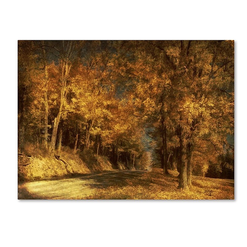 Trademark Fine Art 'Back Roads' 14" x 19" Canvas Art image 1