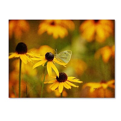 Trademark Fine Art 'Abundance' 14" x 19" Canvas Art