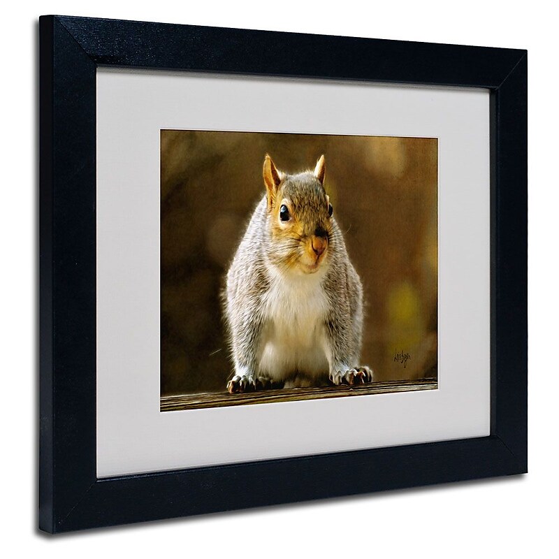 Trademark Fine Art 'Smiling Squirrel' 11" x 14" Black Frame Art image 1