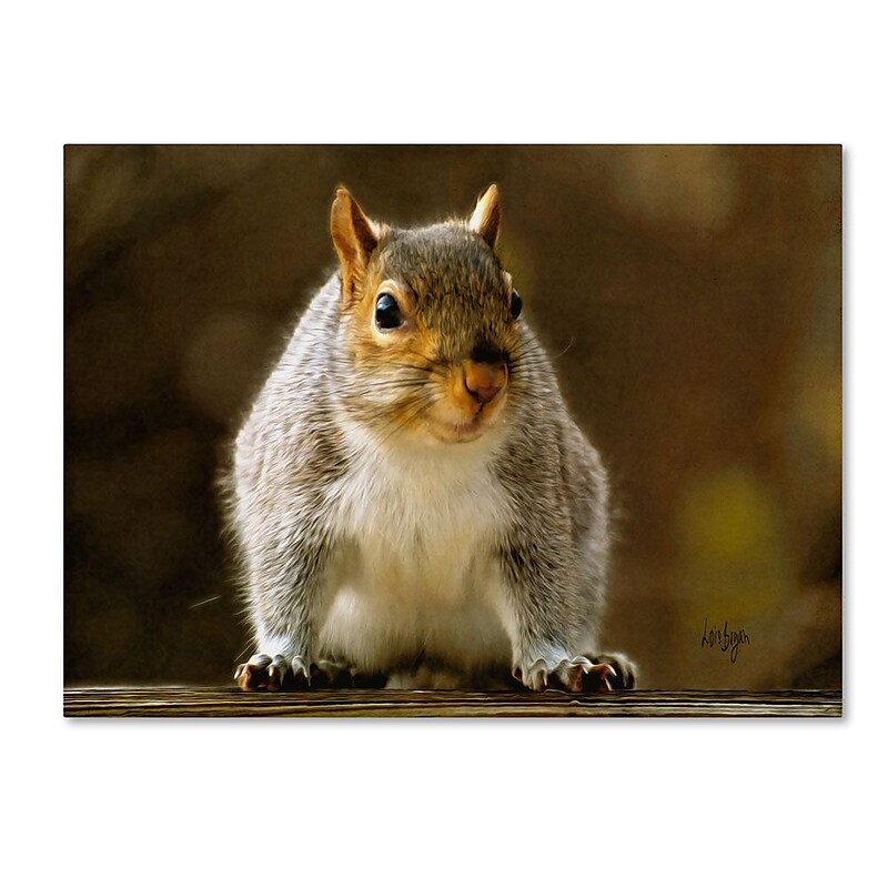 Trademark Fine Art 'Smiling Squirrel' 16" x 24" Canvas Art image 1