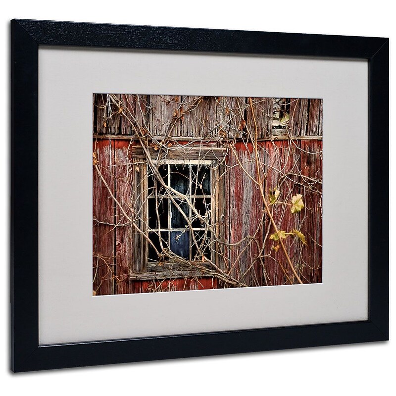 Trademark Fine Art 'Old Barn Window' 16" x 20" Black Frame Art image 1