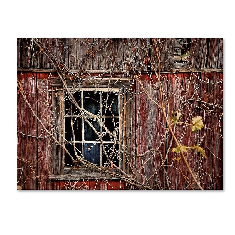 Trademark Fine Art 'Old Barn Window' 16" x 24" Canvas Art image 1