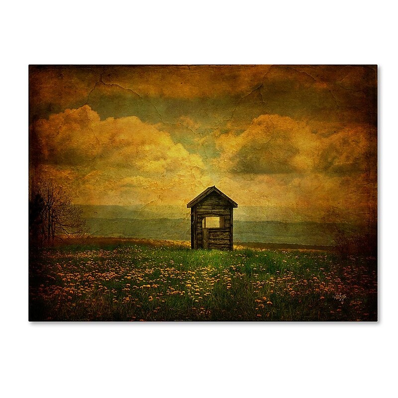 Trademark Fine Art 'Field of Dandelions' 30" x 47" Canvas Art image 1