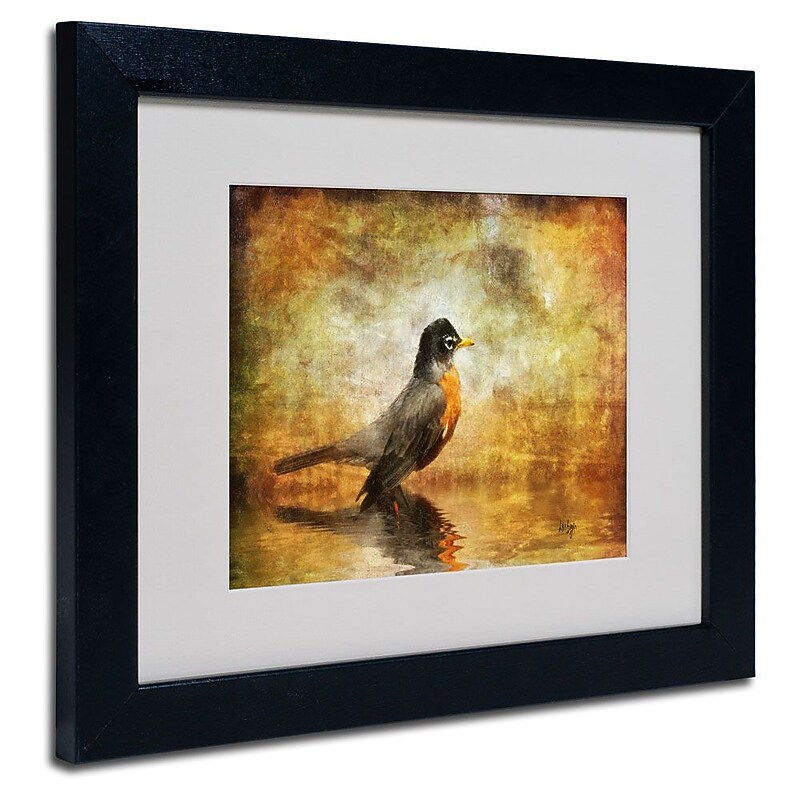 Trademark Fine Art 'The Robin' 11" x 14" Black Frame Art image 1