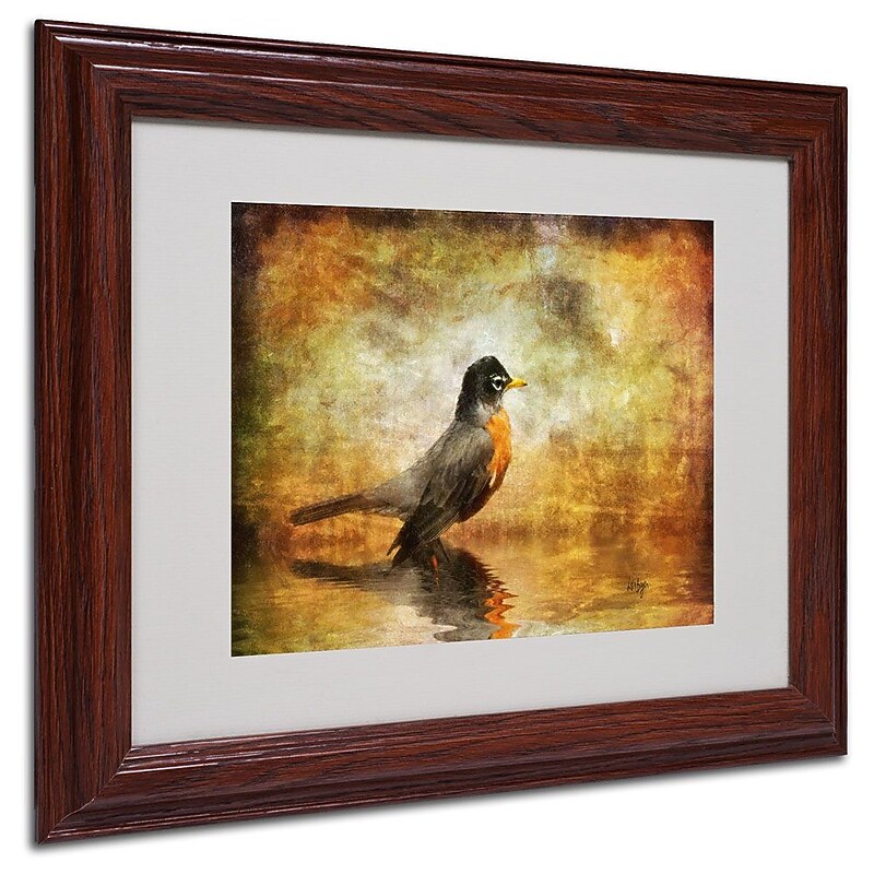 Trademark Fine Art 'The Robin' 11" x 14" Wood Frame Art image 1