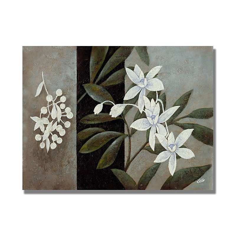 Trademark Fine Art 'White Fresh' 35" x 47" Canvas Art image 1