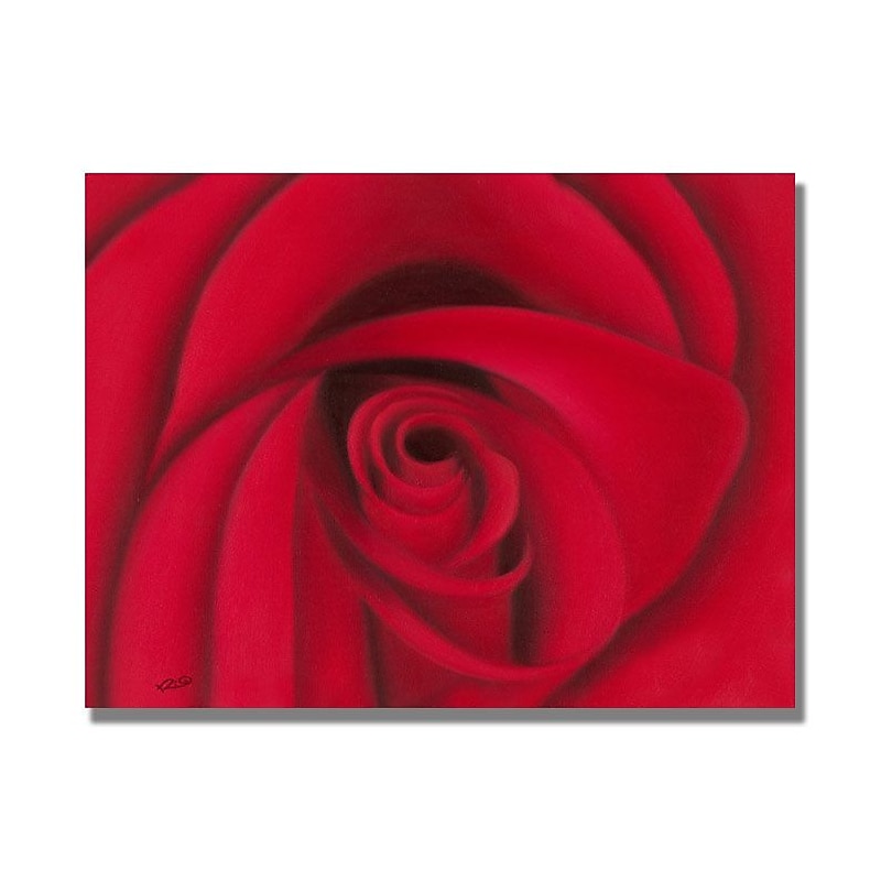 Trademark Fine Art 'Red Rose' 35" x 47" Canvas Art image 1