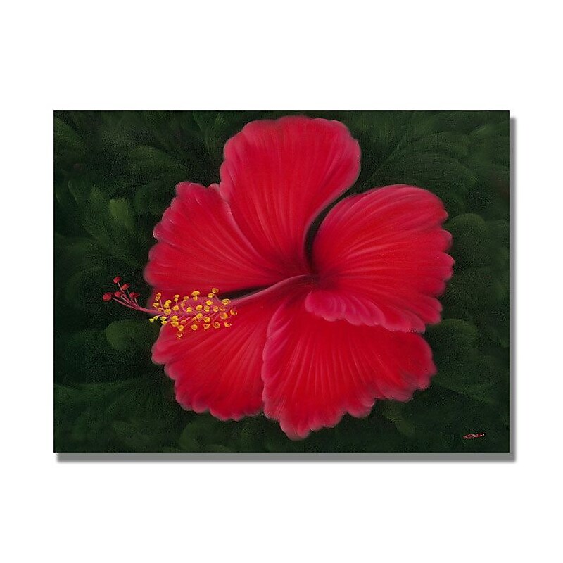 Trademark Fine Art 'Red' 26" x 32" Canvas Art image 1