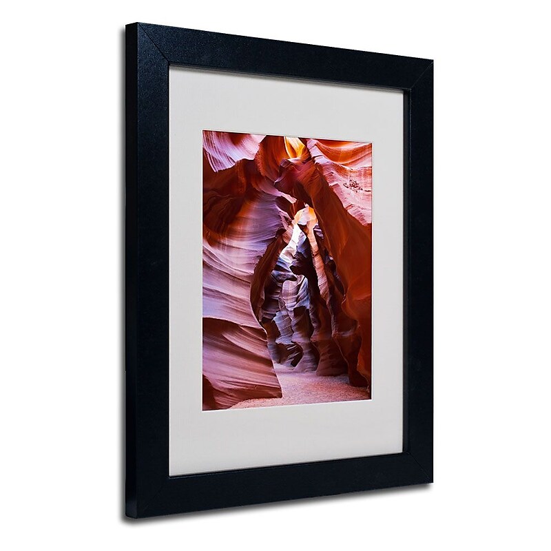 Trademark Fine Art 'Antelope' 11" x 14" Black Frame Art image 1