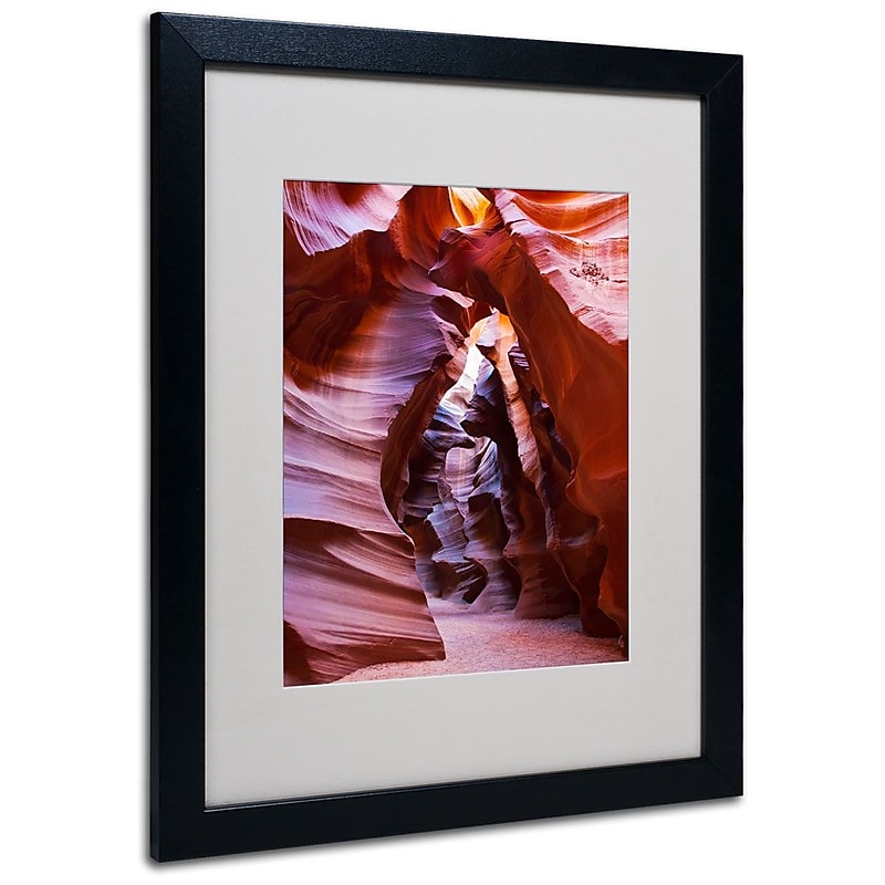Trademark Fine Art 'Antelope' 16" x 20" Black Frame Art image 1