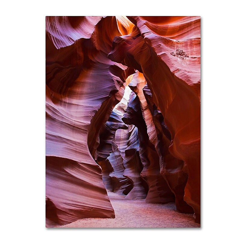 Trademark Fine Art 'Antelope' 30" x 47" Canvas Art image 1