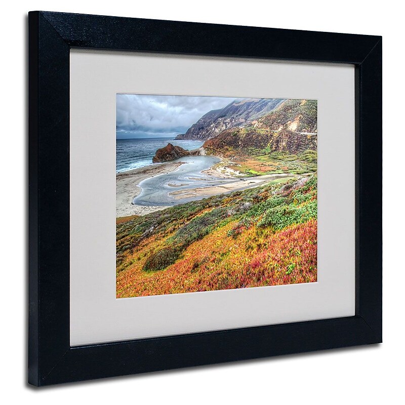 Trademark Fine Art 'Bigsur California' 11" x 14" Black Frame Art image 1