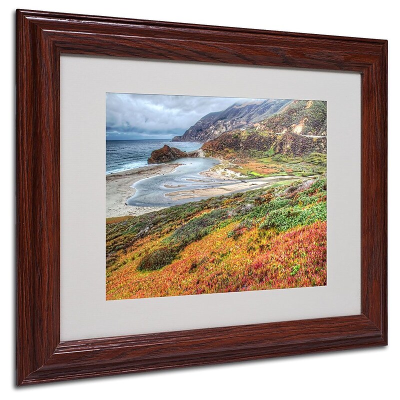 Trademark Fine Art 'Bigsur California' 11" x 14" Wood Frame Art image 1