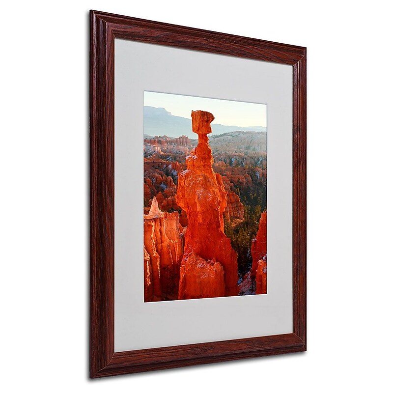 Trademark Fine Art 'Bryce Canyon Thor' 16" x 20" Wood Frame Art image 1