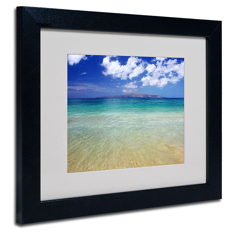 Trademark Fine Art 'Hawaii Blue Beach' 11" x 14" Black Frame Art image 1