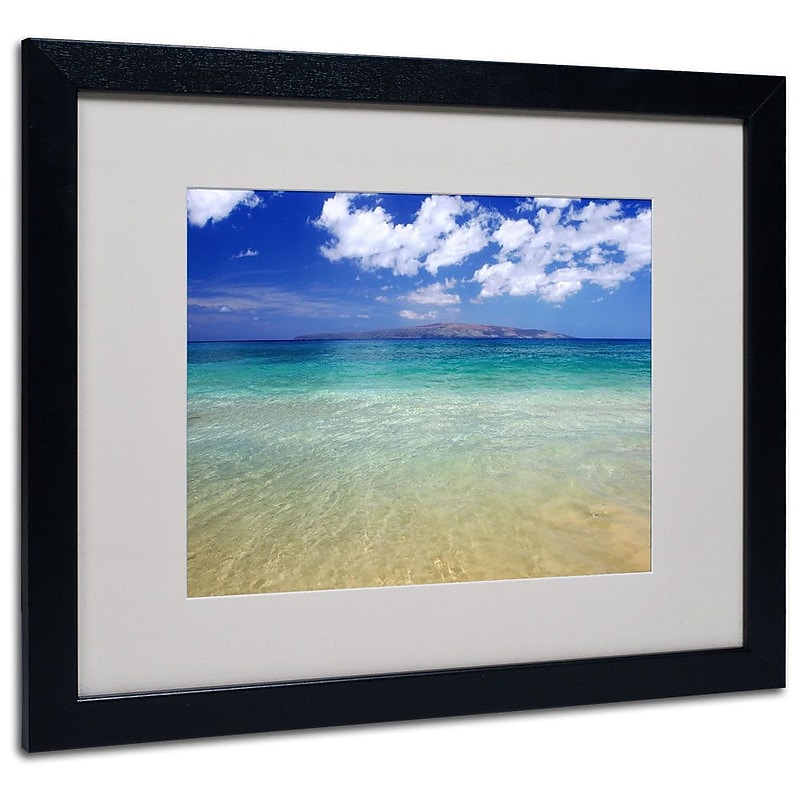 Trademark Fine Art 'Hawaii Blue Beach' 16" x 20" Black Frame Art image 1